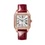 Cartier Santos-Dumont WJSA0016 Silvered Sunray Dial Large (1)