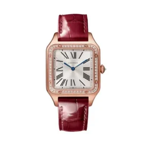Cartier Santos-Dumont WJSA0016 Silvered Sunray Dial Large (1)