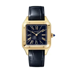 Cartier WGSA0077 Santos-Dumont Blue Satin-Brushed Dial Large (1)